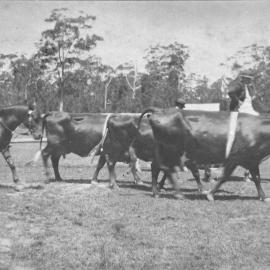 Charles Sharp and Clarrie Dudgeon, 1915