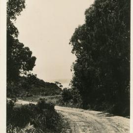 Road to Sawtell, c. 1905