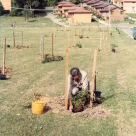 Tree planting at Shephard Park, 1983 