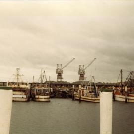 Prawn trawlers at the Coffs Harbour Marina, 16 January 1984 