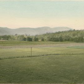 Bellinger River flats on Thora Road, 23 July 1945 