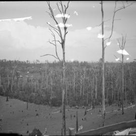 View from Roberts Hill, 23 March 1924