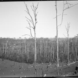 View from Roberts Hill, 23 March 1924