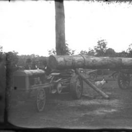 Log hauling demonstration with tractor, 1912