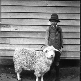 Boy with Mrs Bullock's angora goat