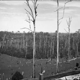 A view from Nelson's Hill, 1920s
