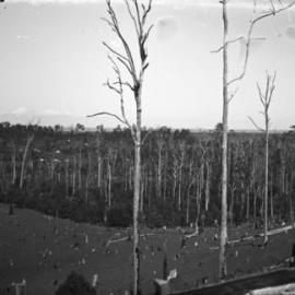 A view from Robert’s Hill, 23 March 1924