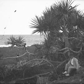 Peter Jensen seated under a pandanus tree at Macauley's Headland, 14 January 1923