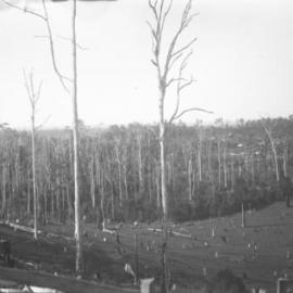 A view from Nelson's Hill, 1920s