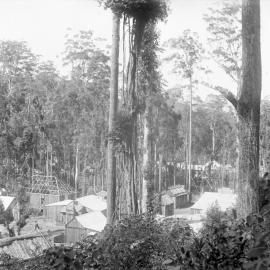 Beacon Mine township, c.1898