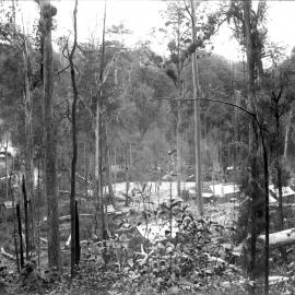 Beacon Mine township, c.1898
