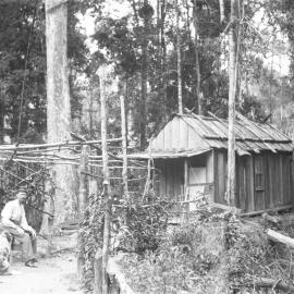 Lee Foon and his dog at the Beacon Mine, c.1898