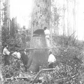 Tree-felling at the Beacon Mine, c.1898