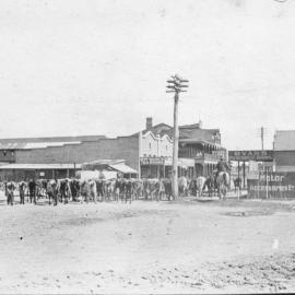 A herd of cows in the main street of Byron Bay, c.1912