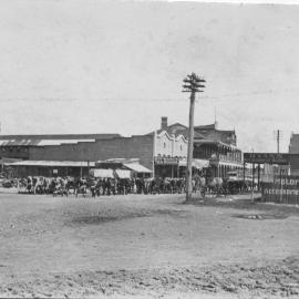 A herd of cows in the main street of Byron Bay, c.1912