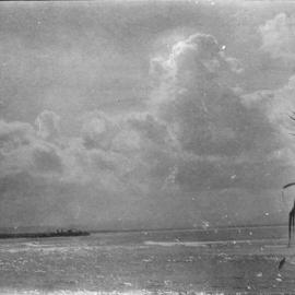 Byron Bay Jetty, c.1912