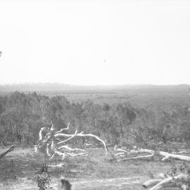 The site of Coffs Harbour Aerodrome, 1925 