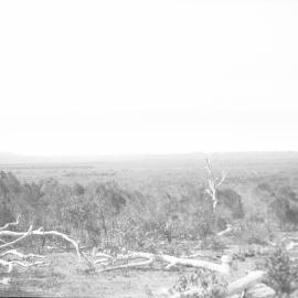 The site of Coffs Harbour Aerodrome, 1925