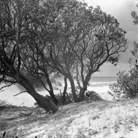 Moonee Beach, 1936