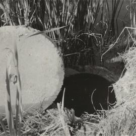 Results of flooding, early 1956