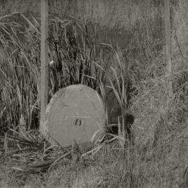 Results of flooding, early 1956