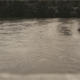Orara River in flood, early 1956