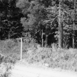 The intersection of Eastern Dorrigo Way and Kirtons Road, c.1956