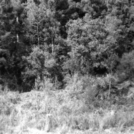 Location for new drainage pipes at Eve Creek, c.1956