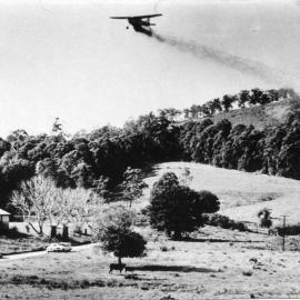 Aerial spraying at William Ariel Robinson's Englands Road farm, 1963