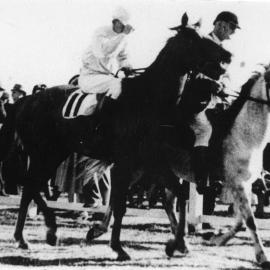 Winner of the Fred Lowery Memorial Trophy at the Coffs Harbour Jockey Club's inaugural meeting, 7 August 1948