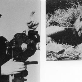 Jack Gerard captures five escaped Wirth's circus lions with his movie camera, 26 May 1953 