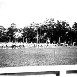 School sports day at the Showground, late 1940s 
