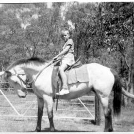Hugh Nicol riding Bruce Miller's horse at "Lochnagar", early 1950s 