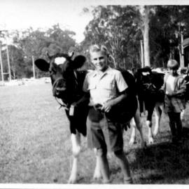 Hugh Nicol leading Mr Sharp's cow at the Agricultural Show Grand Parade, 1956