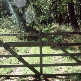 Front gate and track replaced by the North Coast Regional Botanic Garden