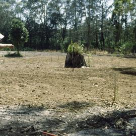Laying out the grid for the rainforest section in the North Coast Regional Botanic Garden