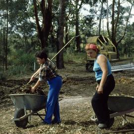 Volunteers spreading mulch in rainforest section at the North Coast Regional Botanic Garden