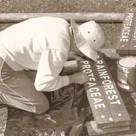 Friends volunteers paint signs for the North Coast Regional Botanic Garden