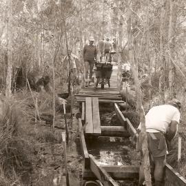 Paperbark boardwalk construction in the North Coast Regional Botanic Garden, 1980s