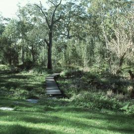 Completed paperbark boardwalk in the North Coast Regional Botanic Garden