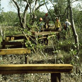 Northern boardwalk construction in the North Coast Regional Botanic Garden