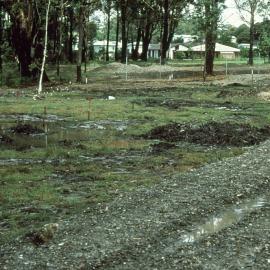 Marking out the public display area at the Botanic Garden entrance 