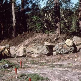 Clearing the front of the Botanic Garden site