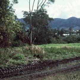 North Coast Regional Botanic Garden site for glasshouses 