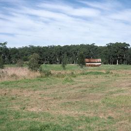 Fresh water swamp site for a lake in the North Coast Regional Botanic Garden