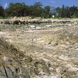 Building the Botanic Garden lake in the North Coast Regional Botanic Garden