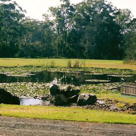 Western view of the lake in the North Coast Regional Botanic Garden