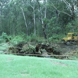 Clearing vegetation to build the rainforest in the Regional Botanic Garden