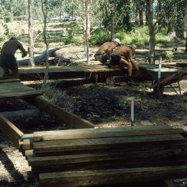 Building boardwalks in the North Coast Regional Botanic Garden