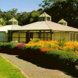 Protea bed in the South Africa section of the North Coast Regional Botanic Garden